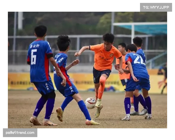区域校园足球赛事管理平台助力教练员资源共享与精准匹配研究